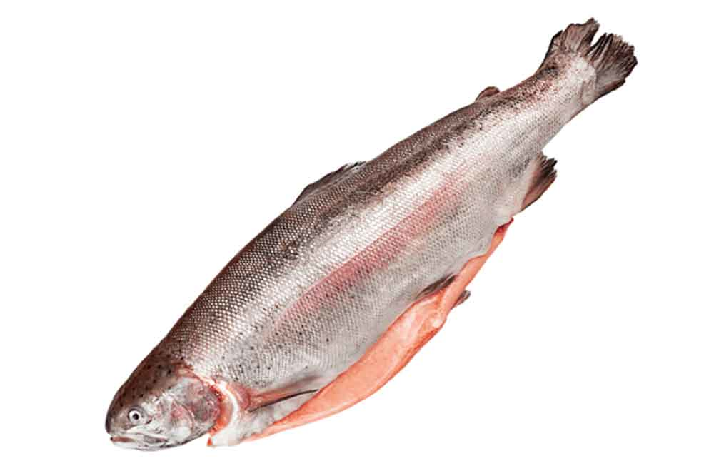 Rainbow trout without head